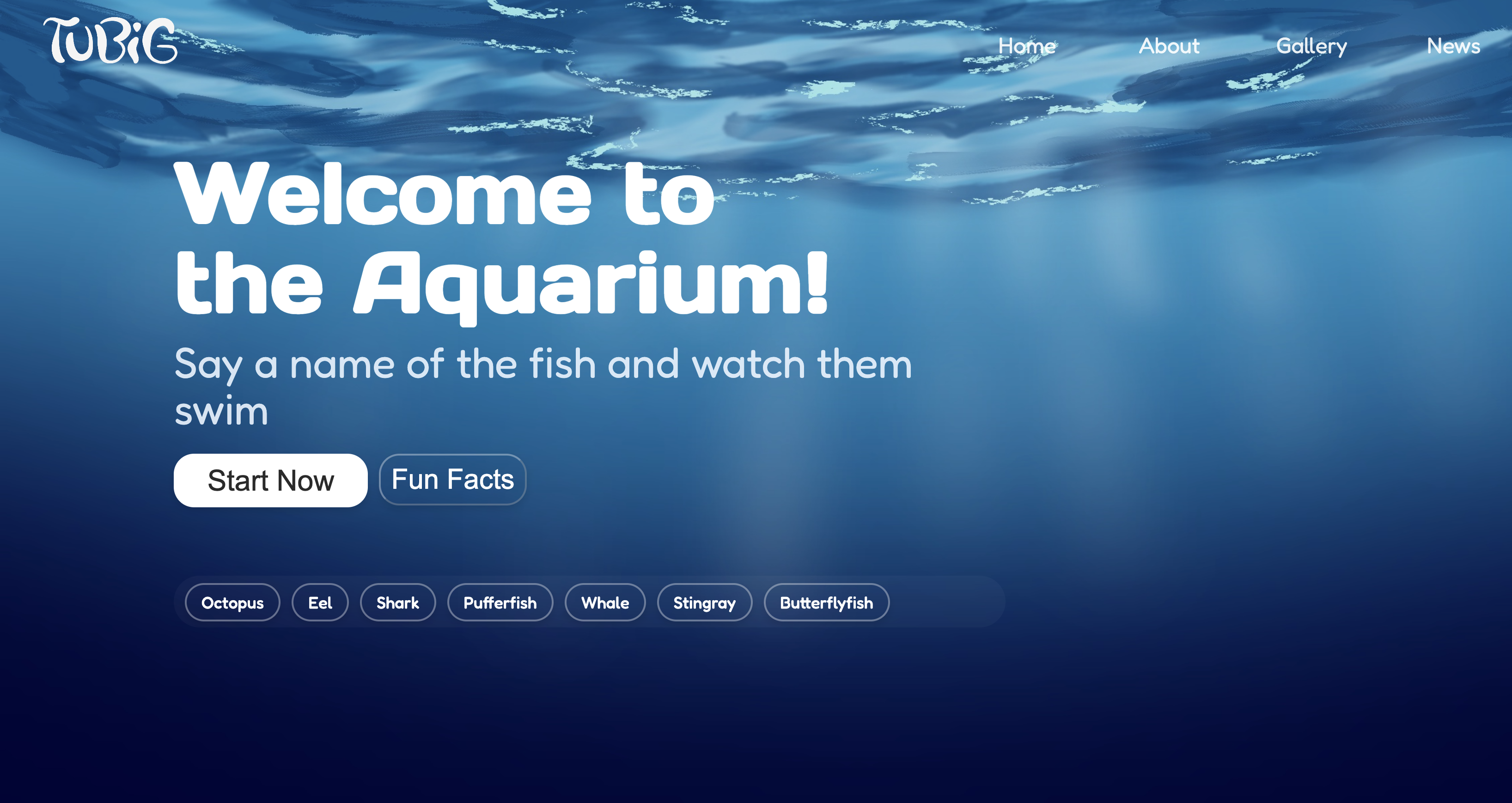 Tubig Aquarium Experience